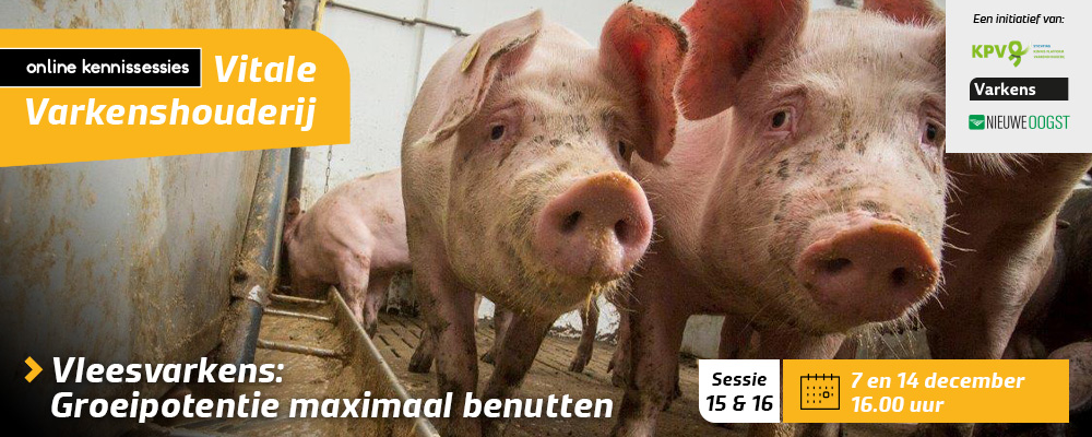 Vleesvarkens: Groeipotentie maximaal benutten