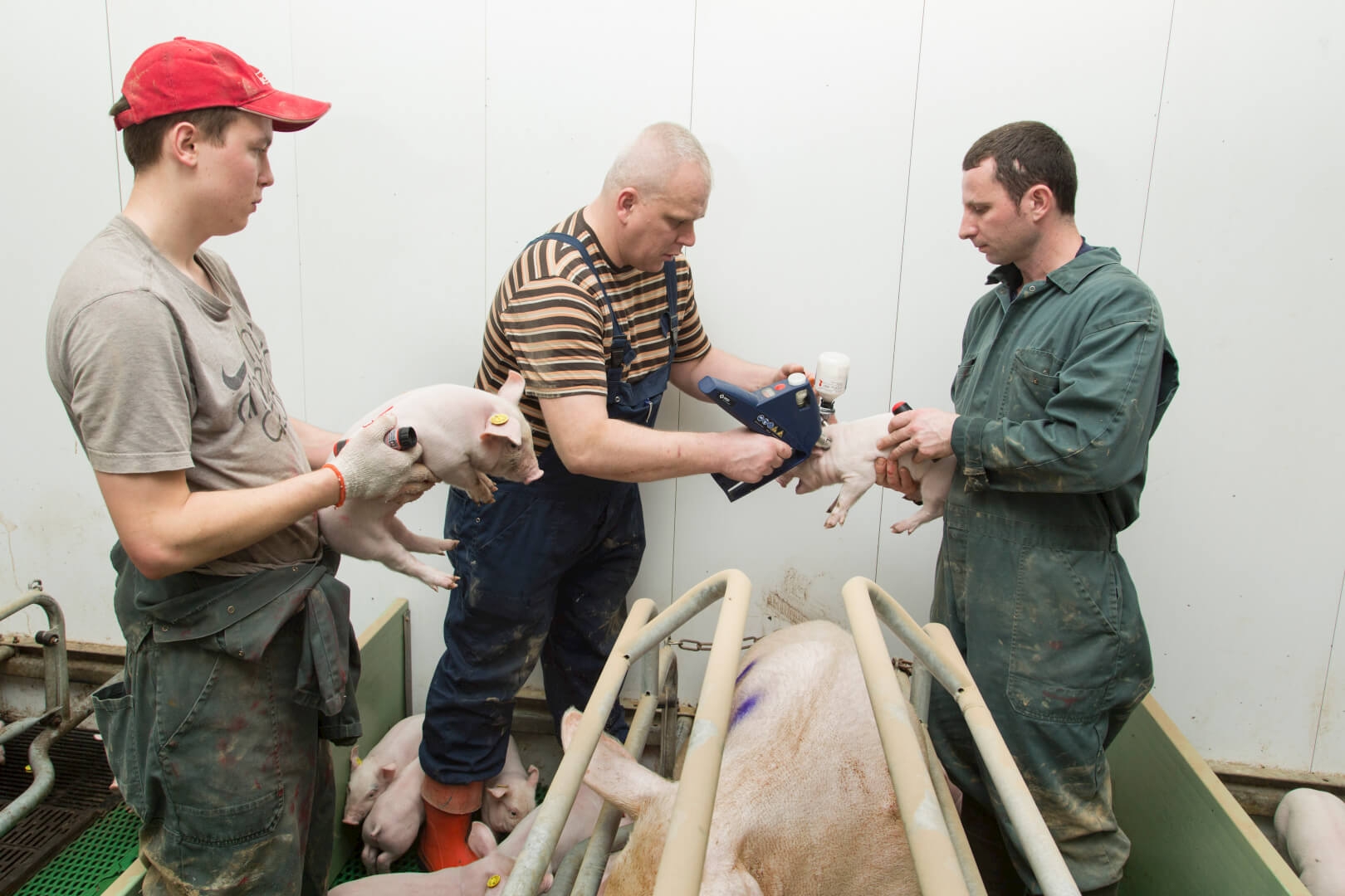 Start opleidingstraject Poolse medewerkers
